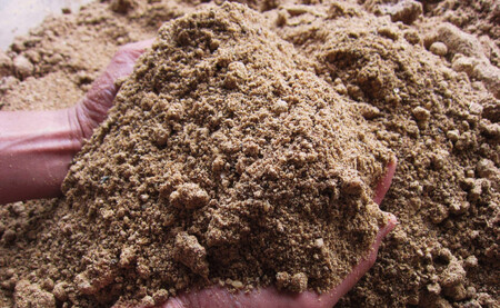 【令和7年産新米予約】関智晴がつくる南魚沼塩沢産コシヒカリ20kg（5kg×4個） 減農薬栽培米【2025年9月中旬より順次発送予定】