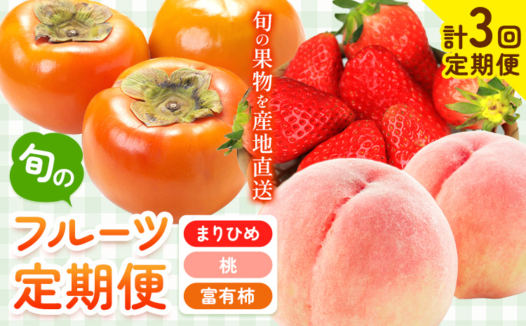 【先行予約】【発送月固定定期便】紀州和歌山産 旬のフルーツ便（いちご・桃・富有柿）【全３回】魚鶴商店《2027年2月上旬-11月末頃出荷》 和歌山県 日高川町 まりひめいちご 紀州和歌山産の桃 富有柿