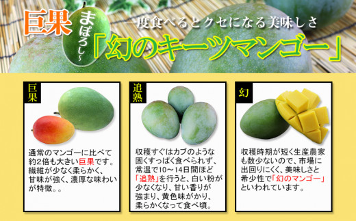 【先行受付】【2025年発送】ヤマト農園 キーツマンゴー約1kg - 産地直送 沖縄産 国産 果物 フルーツ 南国フルーツ 旬の味覚 追熟 先行予約 幻の味 人気 おすすめ 送料無料 沖縄県 八重瀬町