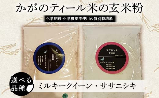 
【選べる品種】化学肥料・化学農薬不使用の特別栽培米 かがのティール米から作った玄米粉 500g ミルキークイーン ササニシキ グルテンフリー 加賀市 F6P-1930
