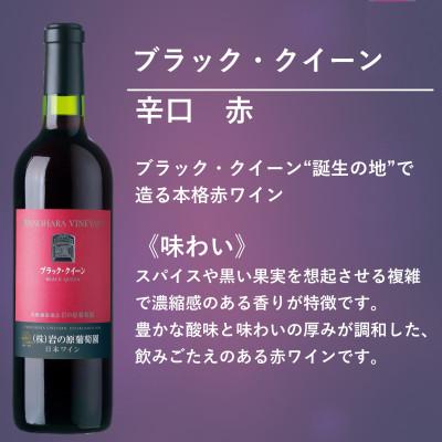 ふるさと納税 上越市 岩の原ワイン　ブラック・クイーン(赤ワイン　720ml) |  | 01
