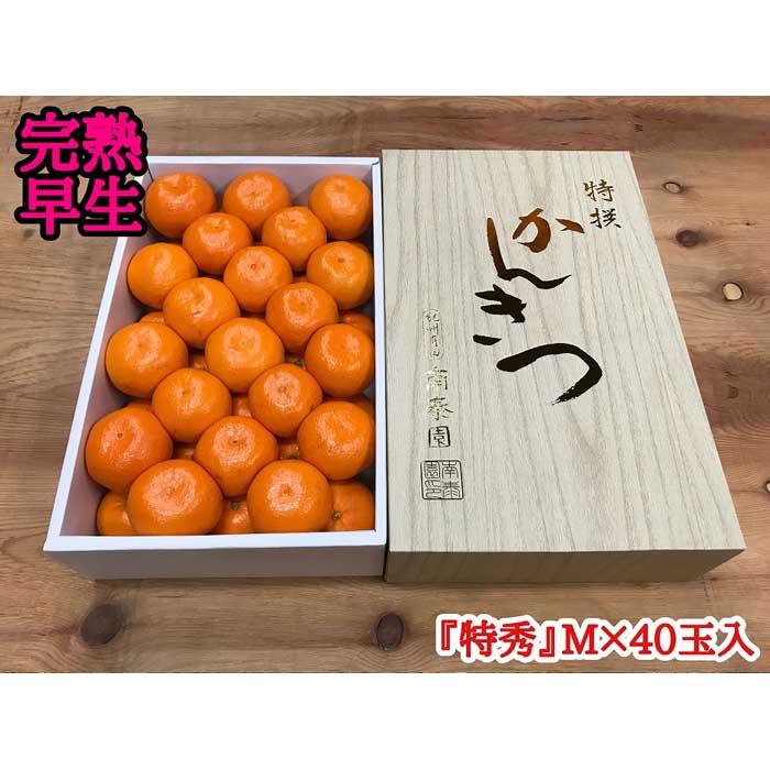 【ふるさと納税】年内発送 完熟早生 有田みかん 化粧箱 特秀 M サイズ 40玉入 和歌山 南泰園 みかん | フルーツ 果物 くだもの 食品 人気 おすすめ 送料無料