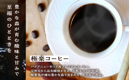 ツインスターシード極楽コーヒー豆_B135-007