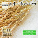 【ふるさと納税】米 若葉の舞 コシヒカリ 玄米食用5Kg×3個セット 定期便9回 こしひかり セット お米 玄米 千葉 千葉県 低温保存　定期便