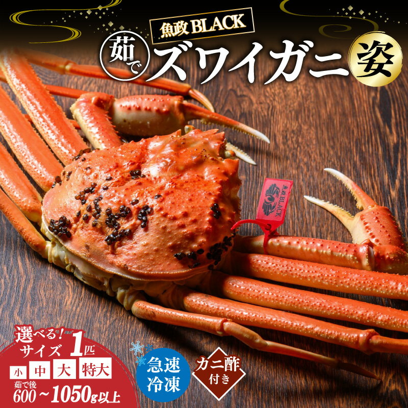 【ふるさと納税】高評価★5.0 高レビュー★【蟹の匠 魚政】魚政BLACK 茹でズワイガニ〈急速冷凍〉小サイズ 中サイズ 大サイズ 特大サイズ 1杯【姿のまま】カニ酢付き 選べる 内容量 ズワイガニ 魚貝類 甲殻類 京丹後 ふるさと納税 蟹 ふるさと納税 カニ ふるさと納税 予約