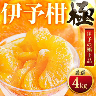 
                  ＜太陽をたっぷり浴びた＞伊予柑＜極＞4kg＜C49-42＞【1509739】
                