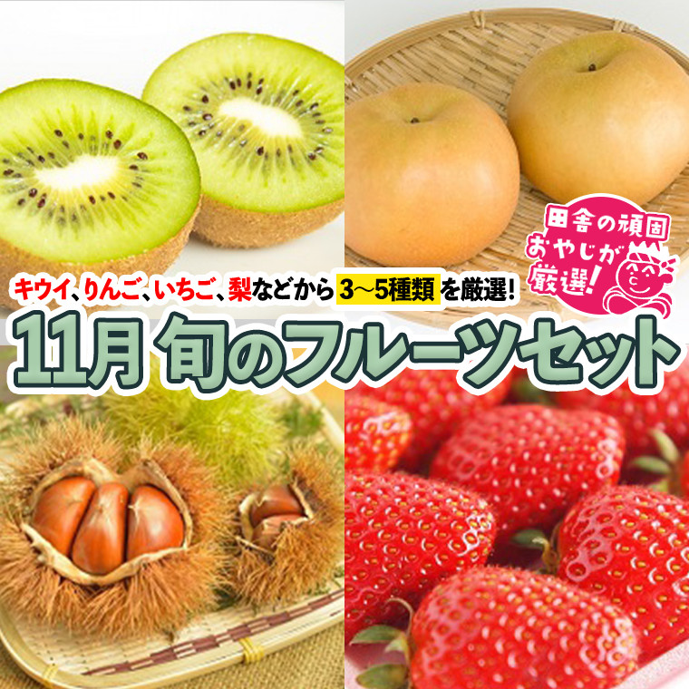 
            旬のフルーツセット 11月号【11月より発送開始】 田舎の頑固おやじが厳選！
          
