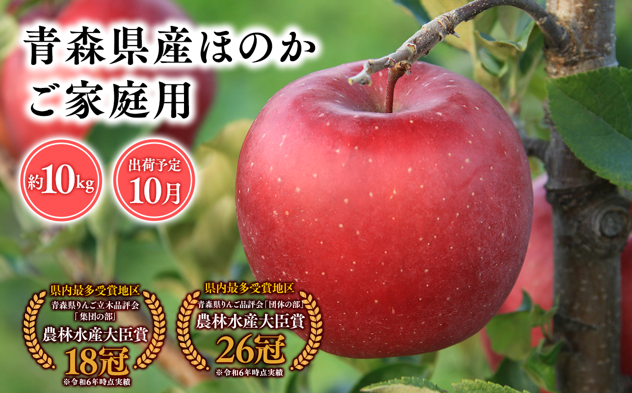 2026年産１０月発送　【訳あり】家庭用ほのか10kg【青森県 平川市 そと川りんご園】１０月発送 家庭用 青森 青森県産 平川 りんご リンゴ 林檎 くだもの 果物 フルーツ