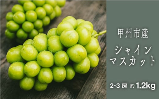 甲州シャインマスカット『果汁滴るフルーツの王様』約1.2kg 2～3房【2026年発送】（SHP）B-452 【シャインマスカット 葡萄 ぶどう ブドウ 令和8年発送 期間限定 山梨県産 甲州市 フルーツ 果物】
