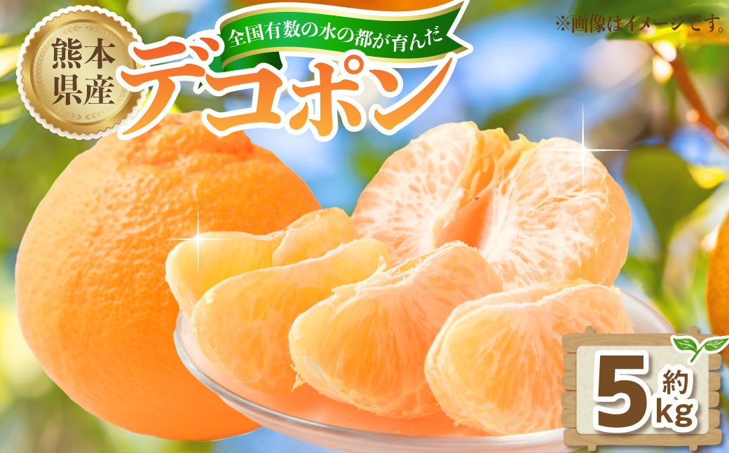 
                  熊本県産デコポン 5kg（20-25玉）【2026年2月下旬発送開始】 熊本県産 国産 デコポン おやつ 果物 果実 フルーツ 5kg 20 25玉
                