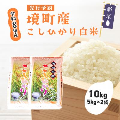ふるさと納税 境町 米 コシヒカリ 10kg(5kg×2袋) 令和8年産 国産 茨城県 境町産 数量限定 こしひかり