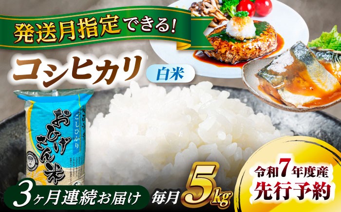 
            米 【3回定期便】＼選べる発送月／コシヒカリ 白米 5kg×3回 米 お米 5kg 5キロ 定期便 白米 精米 新米 コメ ご飯 ごはん 愛知県産 国産 県産米 国産米 コシヒカリ こしひかり 発送 時期 選べる 産地直送 愛西市 / 脇野コンバイン [AECP024]
          