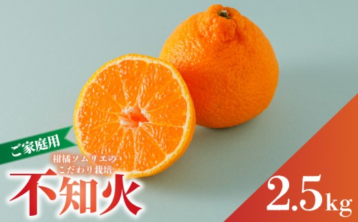 【2027年3月上旬頃から順次発送】 不知火（デコポンと同一品種） B品 家庭用 2.5kg  | 訳あり 柑橘類 先行予約 果物 フルーツ みかん 愛媛 松山
