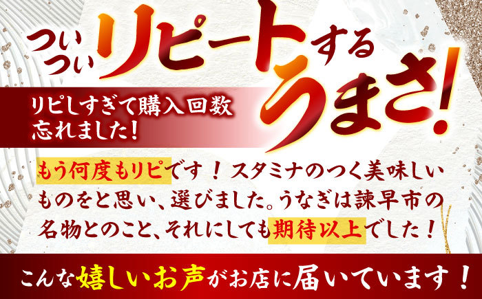 うなぎ蒲焼2尾＆白焼き2尾 うなぎ ウナギ 鰻 蒲焼き 蒲焼 かばやき 白焼き 白焼 しらやき 食べ比べ 冷凍