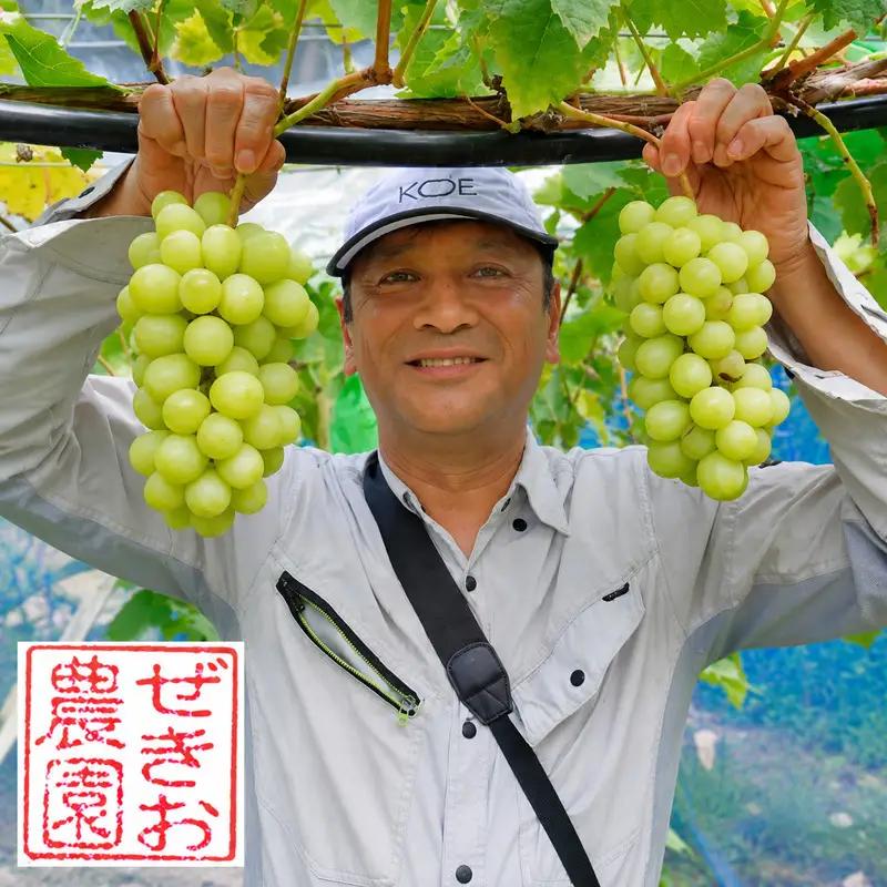 シャインマスカット ぜきお農園 岡山県産 シャインマスカット【2房 約1kg】【先行予約】