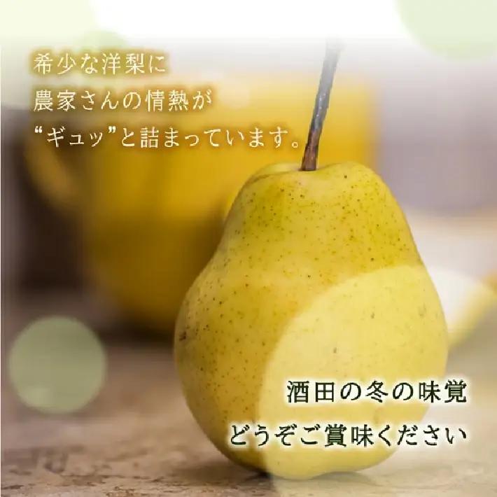 SA3038　 酒田産【特選】 洋梨 シルバーベル　約3kg(玉数おまかせ)