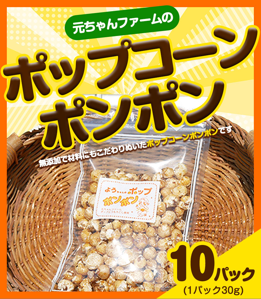 ポップコーンポンポン 元ちゃんファーム《30日以内に出荷予定(土日祝除く)》 和歌山県 紀の川市 トウモロコシ 菓子 ポップコーン 送料無料