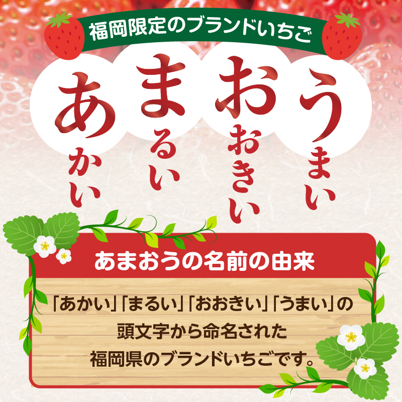 【先行受付：2026年2月発送開始】博多あまおうＧ270g×10パック｜ＪＡふくおか八女 あまおう いちご 苺 イチゴ フルーツ 果物 くだもの 人気  旬 福岡県産 大粒 アフター補償 数量限定 期