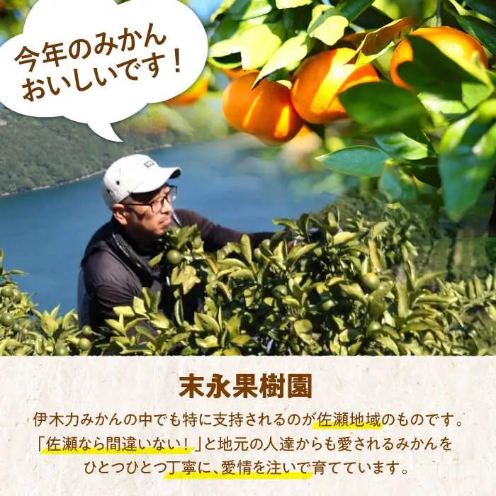 伊木力温州早生 みかん5kg AHBD004 みかん