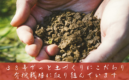 J8-7MC05Z【12ヶ月連続お届け】新潟県長岡産コシヒカリ無洗米5kg【「小さな生き物たちと育むお米」認証品】