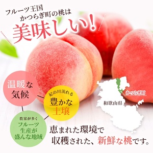 桃 白鳳 <特秀品> 和歌山県産桃 3玉 【6月末頃～7月末頃に順次発送予定】【予約受付】【kgr010】