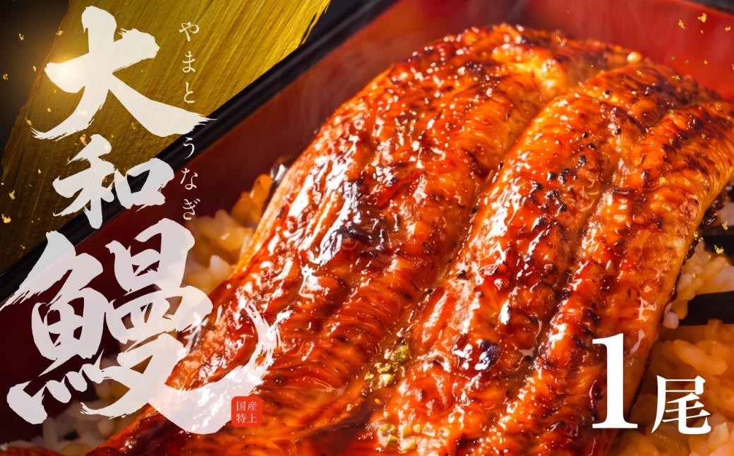 
                  うなぎ 1尾 蒲焼 国産特上 大和鰻 国産うなぎ 特上うなぎ うなぎ蒲焼 国産鰻 選べる 1尾(約156g~183g) unagi うなぎ 1尾 蒲焼 うなぎ 1尾 蒲焼 うなぎ 1尾 蒲焼 うなぎ 1尾 蒲焼 うなぎ 1尾 蒲焼 うなぎ 1尾 蒲焼 うなぎ 1尾 蒲焼 うなぎ 1尾 蒲焼 特上うなぎ 特上うなぎ うなぎ 豊橋 うなぎ 豊橋 特上うなぎ うなぎ 豊橋 特上うなぎ
                