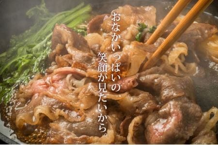 A4A5等級 黒毛和牛 綾牛プラチナプレミアム 詰め合わせ ステーキ 焼肉 小間切れ バラ ロース もも（13-21）