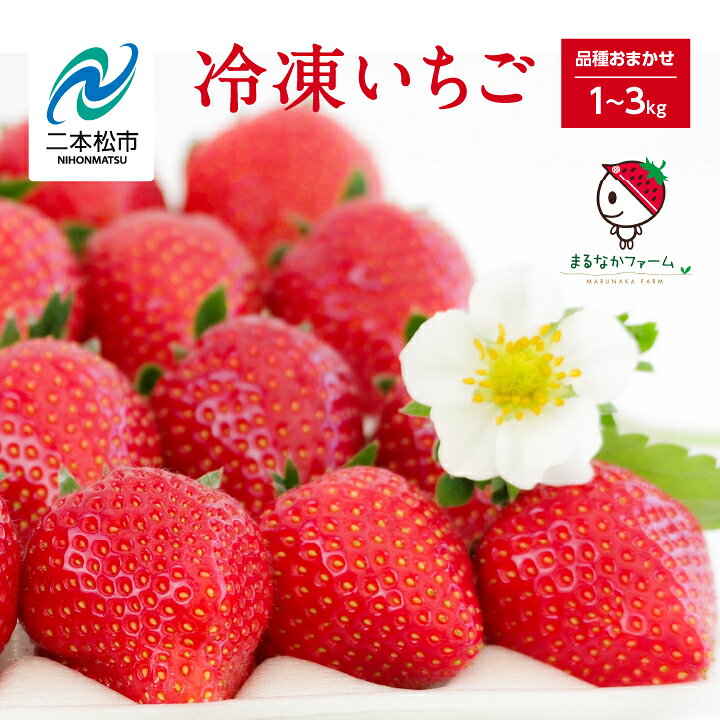 【ふるさと納税】 冷凍まんまるいちご 品種おまかせ 1kg〜3kg 選べる いちご イチゴ 苺 夏ギフト 冷凍 果物 フルーツ 果物 おすすめ お中元 お歳暮 ギフト 二本松市 ふくしま 福島県 送料無料 【まるなかファーム株式会社】