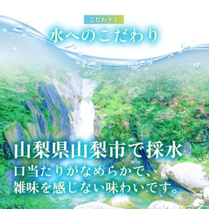 【毎月定期便】サーフ　爽雫(ソーダ)強炭酸水1L×12本　1ケース　国産炭酸水全6回【4050651】