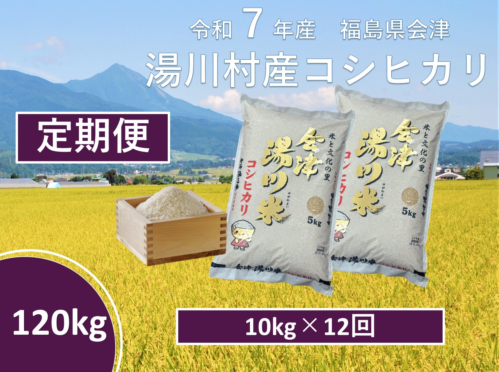 
            令和7年産湯川村産コシヒカリ　玄米120kg(10㎏×12回)【全12回定期便　R7.10月～R8.9月毎月発送】
          