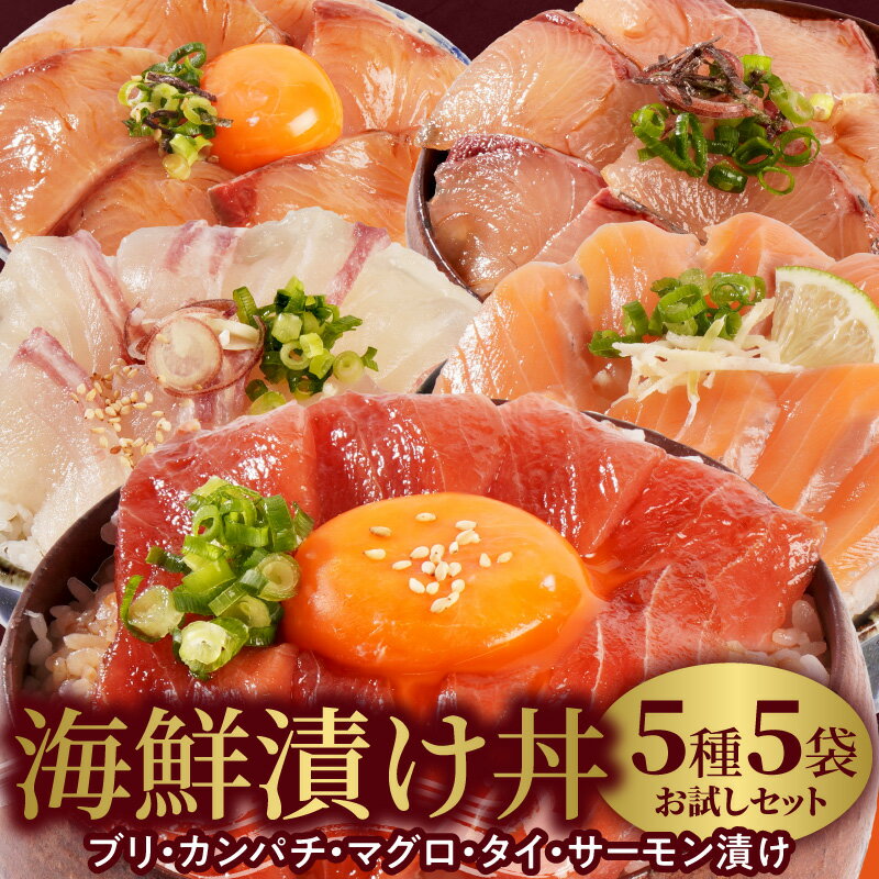 【ふるさと納税】海鮮漬け丼 5種 お試し セット 選べる 発送時期 請関水産 漬け丼 海鮮丼 冷凍 流水解凍 時短 料理 冷凍ストック ストック 簡単 プチ贅沢 ご飯 魚介 食品 加工品 魚 魚加工品 お取り寄せ お取り寄せグルメ 送料無料 宮崎県 延岡市