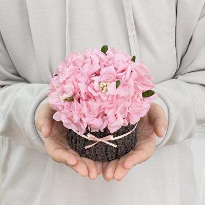 ふるさと納税 春日部市 プリザーブドフラワーアレンジ【さくらの木】春日部市 シュガーパイン