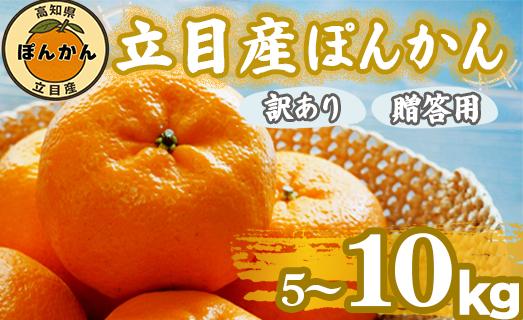 
            【 早期予約受付開始 】 立目産 ポンカン 選べる 5kg ~ 10 kg 訳あり 贈答用 2026年1月 下旬より順次発送 2026年 収穫分 家庭用 みかん 高知 須崎 KHN001-all
          