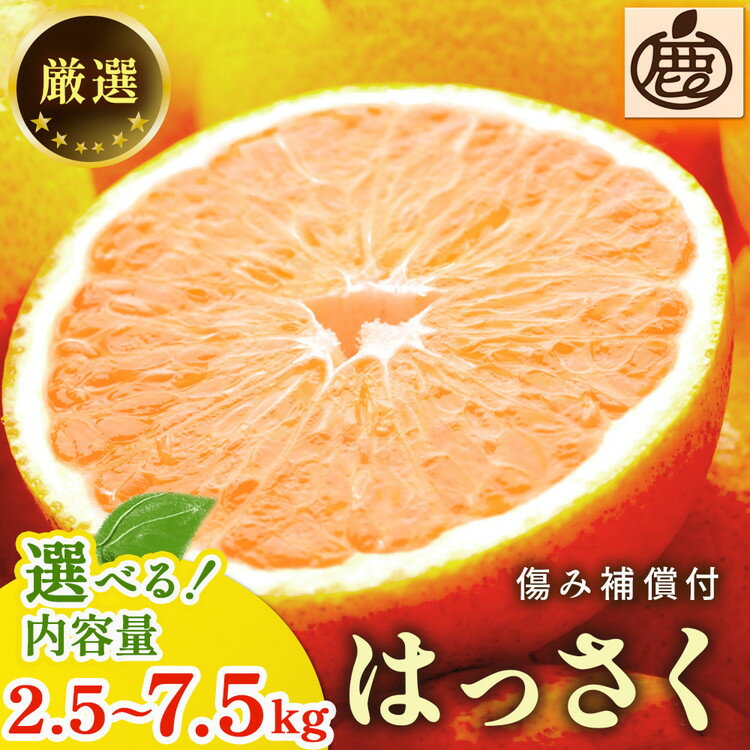 【ふるさと納税】＜1月より発送＞ 選べる内容量 厳選はっさく （傷み補償あり） ｜ 八朔みかん ハッサク ※北海道・沖縄・離島への配送不可 ※2026年1月上旬～3月下旬頃に順次発送予定 ◇