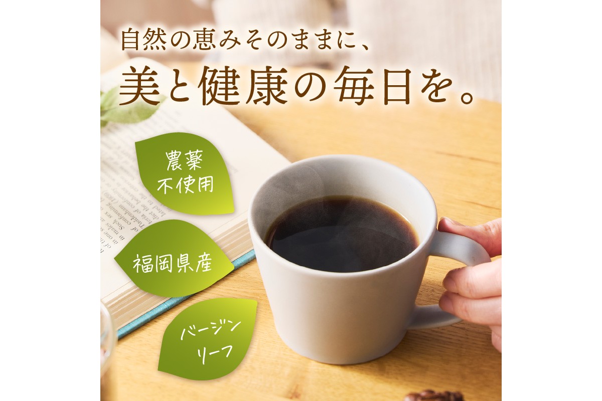 【A5-436】福岡県産モリンガ珈琲