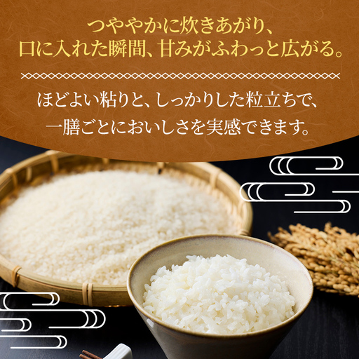 原村産 つきあかり 10kg | 令和7年産 米 八ヶ岳