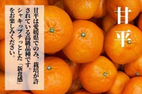 三種の みかん 食べ比べ箱 甘平 はるか 宮内伊予柑 （家庭用）約2.8kg ＜2025年2024年2月頃発送＞