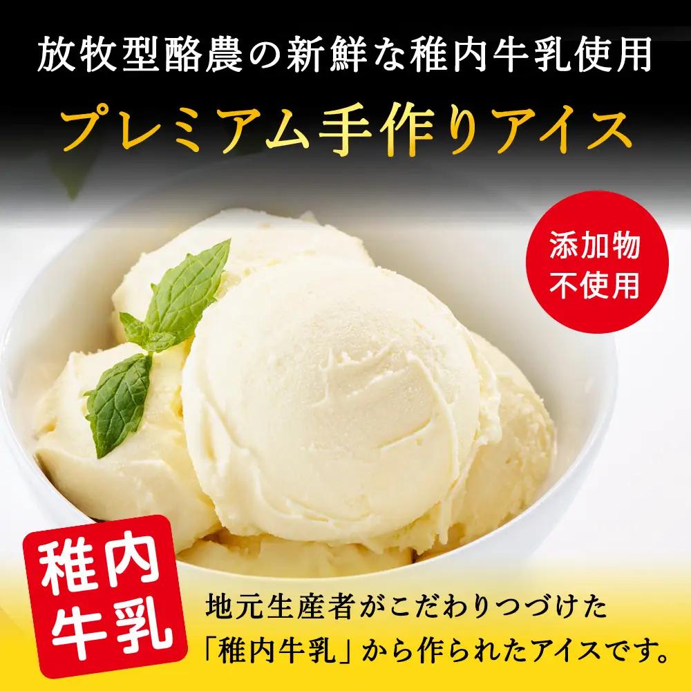 【業務用】稚内牛乳アイスクリーム2000mlバニラ×バニラ2個セット【配送不可地域：離島・沖縄県】
