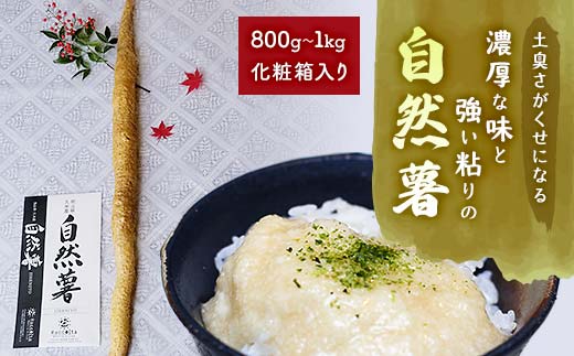 
            ＜先行受付9月上旬～順次＞土臭さがくせになる濃厚な味と強い粘りの自然薯　800g～1kg化粧箱入り【1419012】
          
