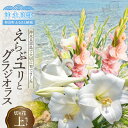 【ふるさと納税】 沖永良部島で大切に育てられた 島の宝 えらぶユリ・グラジオラス 切り花 上 10本 × 2 セット 計 20本 ユリ 純白 清楚 グラジオラス ゴージャス 花 生花 専用箱 贈り物 鹿児島県 福山花店 ふるさと納税 和泊町 おすすめ ランキング プレゼント ギフト