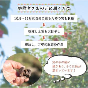 鹿児島県産100％椿油 300ml(100ml×3本)  いちき串木野産椿油 椿油3本セット 食用椿油【A-1287H】