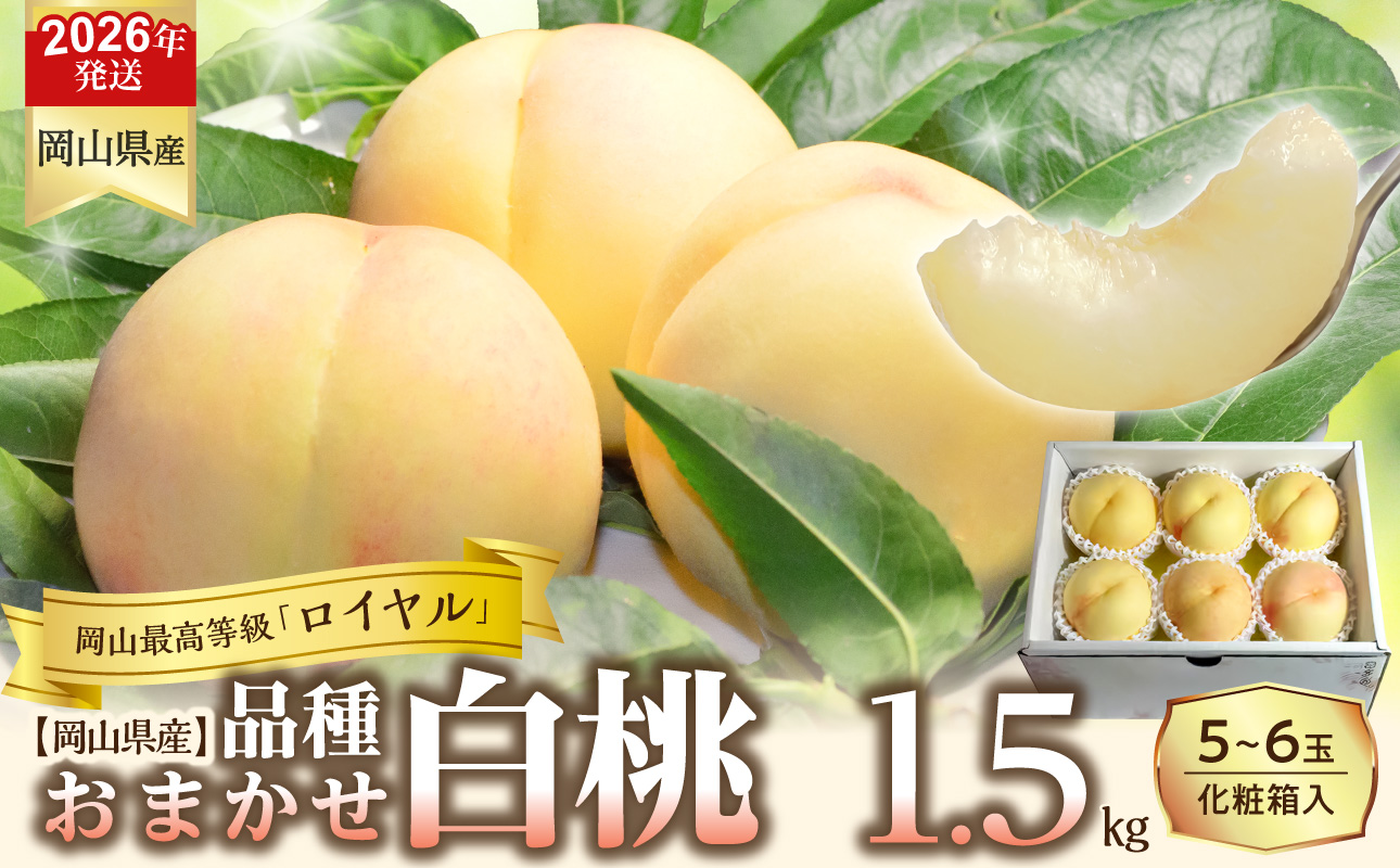 【令和８年発送分】岡山県産 白桃「ロイヤル」1.5kg（令和8年7月から8月頃発送）【 岡山県産 白桃 ロイヤル 晴れの国おかやま 】