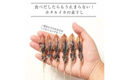 越中氷見屋　ホタルイカ 素干し 18尾入り × 5袋　【魚貝類・加工食品・イカ・ホタルイカ】