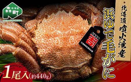 【北海道 噴火湾産】 浜ゆで毛がに 1尾 約430g～470g ＜カネキチ澤田水産＞ かに カニ 蟹 ガニ がに 森町 ふるさと納税 北海道 毛蟹 毛かに 毛ガニ 毛カニ mr1-1069