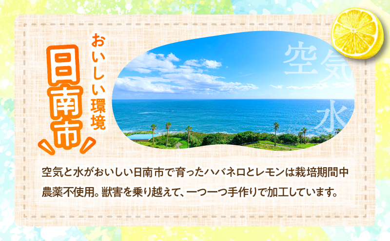 爽やか激辛食感 フルーティなハバネロソース 数量限定 宮崎 ハバネロ ソース 計4本 激辛ソース 調味料 おすすめ 加工品 オリジナル ブレンド 肉料理 パスタ ピザ ギフト プレゼント 贈り物 お取