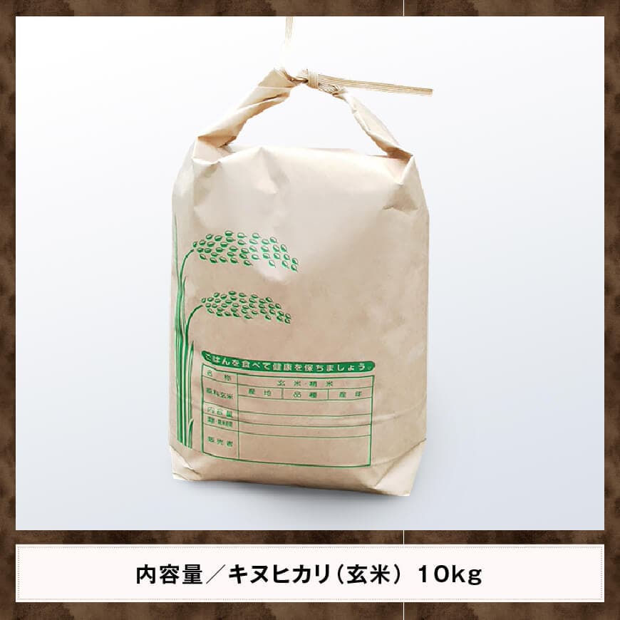 【令和7年産】黒木農園のお米「キヌヒカリ(玄米)」10kg【 きぬひかり 米 ごはん 農家直送 宮崎県産 おにぎり 】