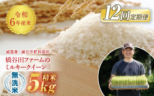 
《定期便12ヶ月》【先行予約】令和6年産米 減農薬・減化学肥料栽培 ミルキークイーン 無洗米 5kg 米 お米 おこめ ご飯 ごはん 福島県 西会津町 F4D-0883
