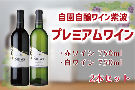 【23日まで年内発送】ワイン プレミアムワイン 750ml 赤・白2本セット AL046-1