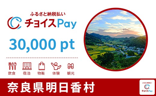 
            明日香村チョイスPay 30,000pt【会員限定のお礼の品】
          
