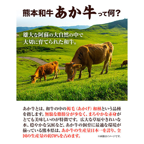 熊本和牛 あか牛 餃子 40個 ( 20個 × 2 ) 三協畜産 《60日以内に出荷予定(土日祝除く)》 熊本県 南阿蘇村 ぎょうざ---sms_fskgoz_23_60d_13500_680g---